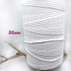 coton_peigne_blanc