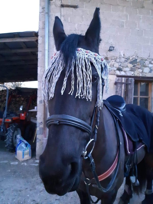 Chasse mouches équitation – Image 3