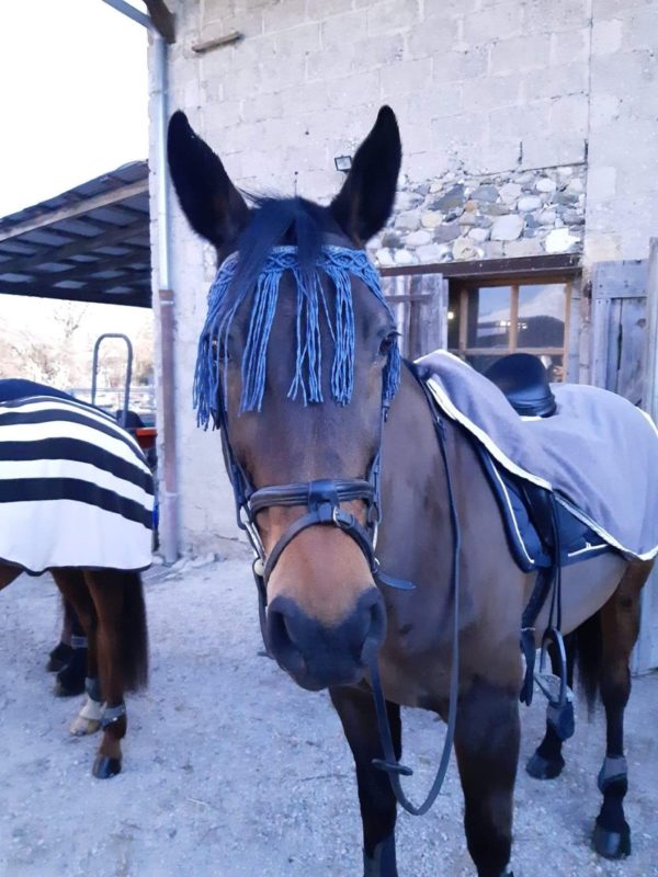 Chasse mouches équitation – Image 2