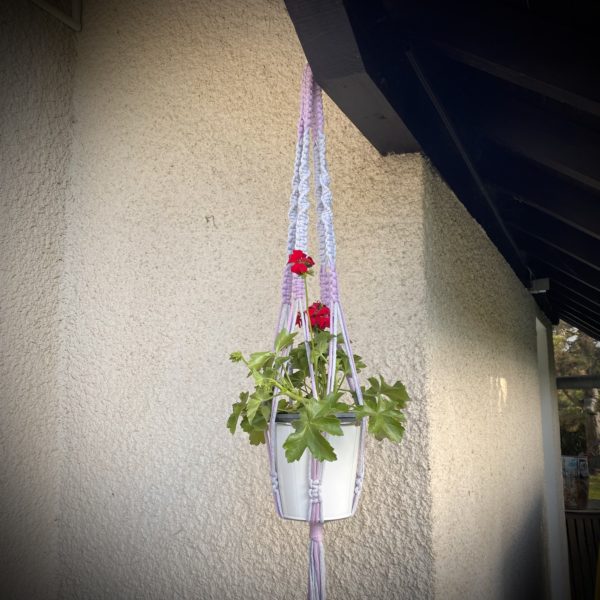 Suspension pour plante