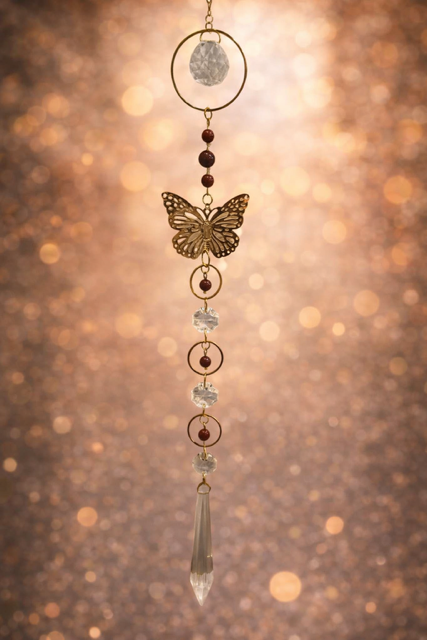 attrape soleil papillon