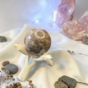 sphère bois pétrifié