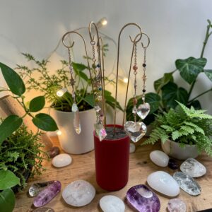 attrape soleil pour plante